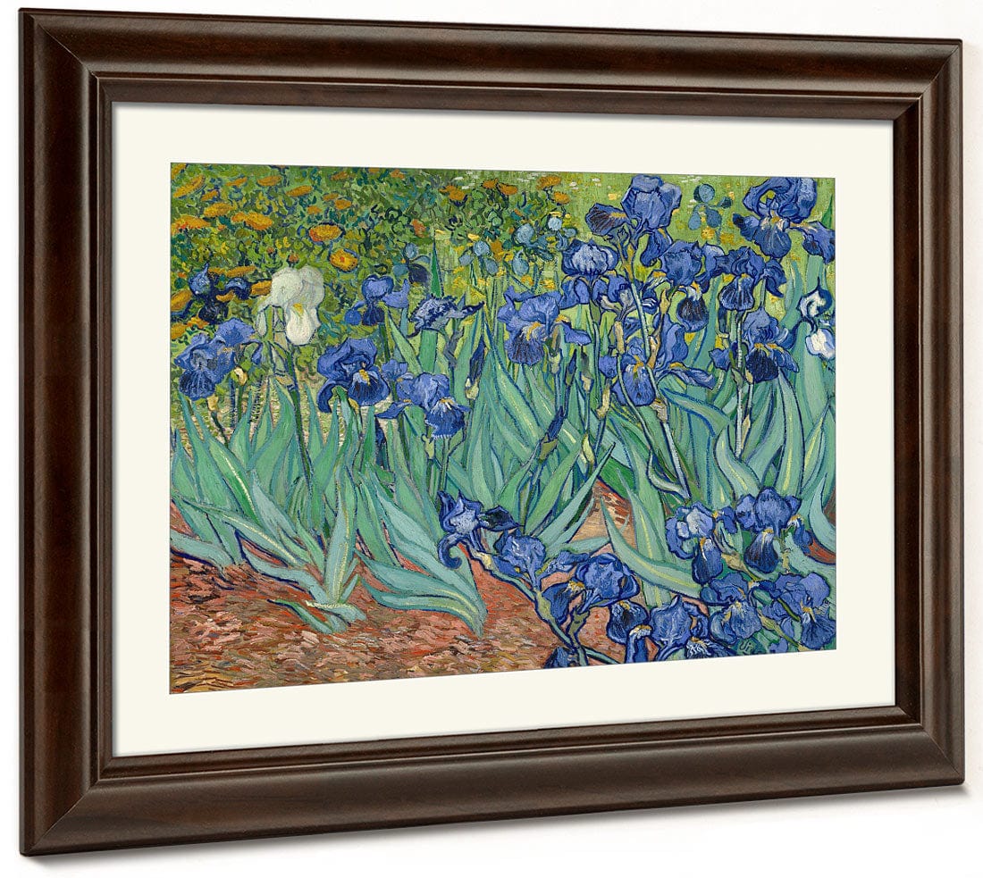 Irises By Vincent Van Gogh Phoenix 4x3