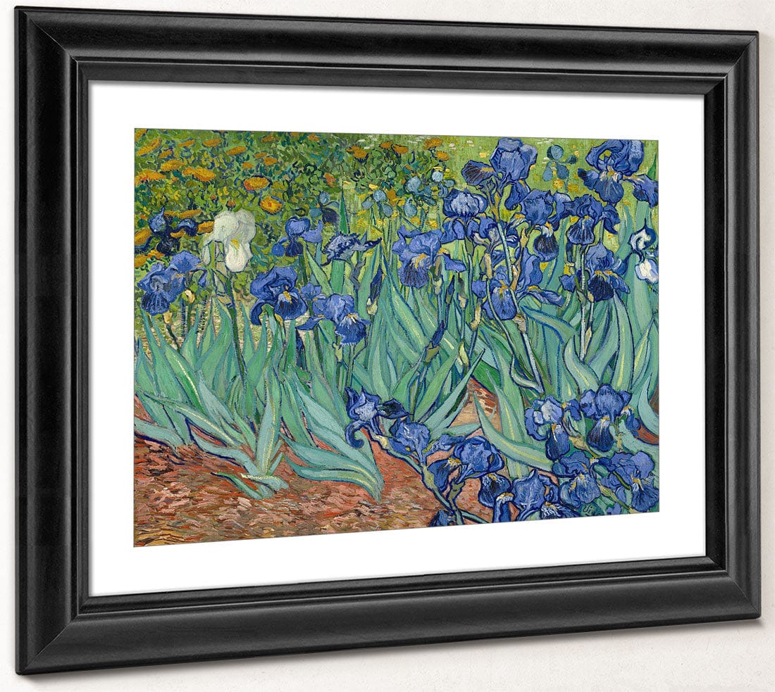 Irises By Vincent Van Gogh Phoenix 4x3