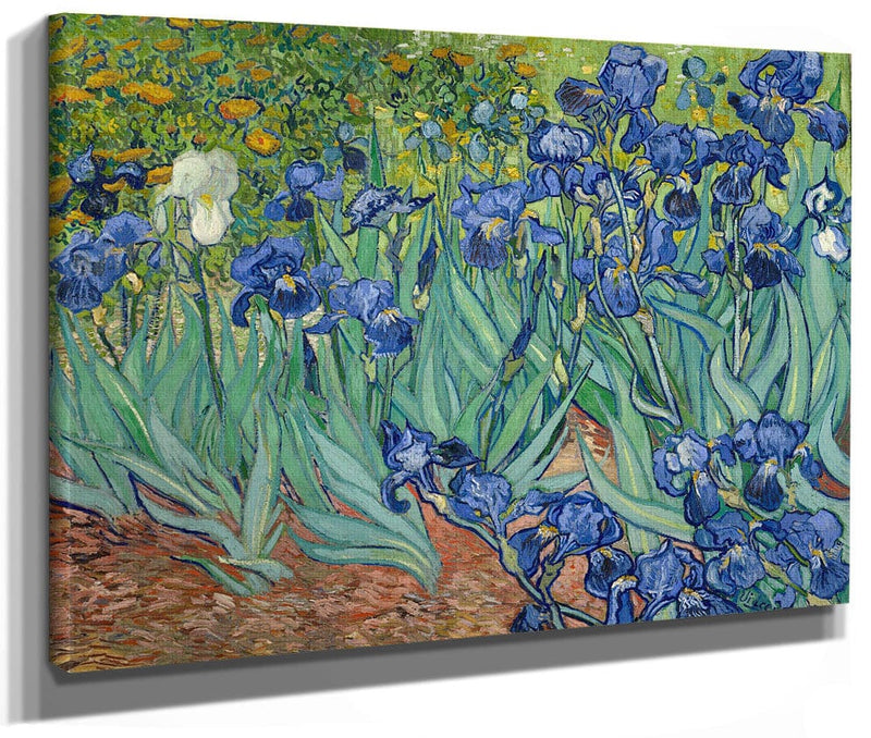Irises By Vincent Van Gogh Phoenix 4x3