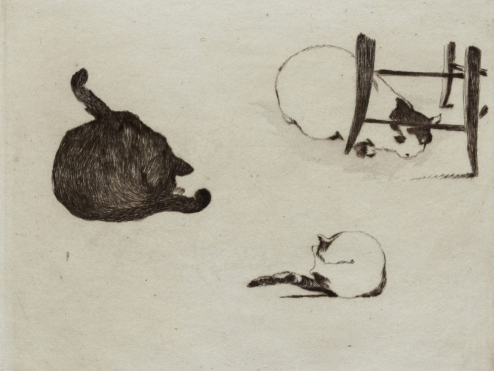 Les Chats By Edouard Manet Phoenix 4x3