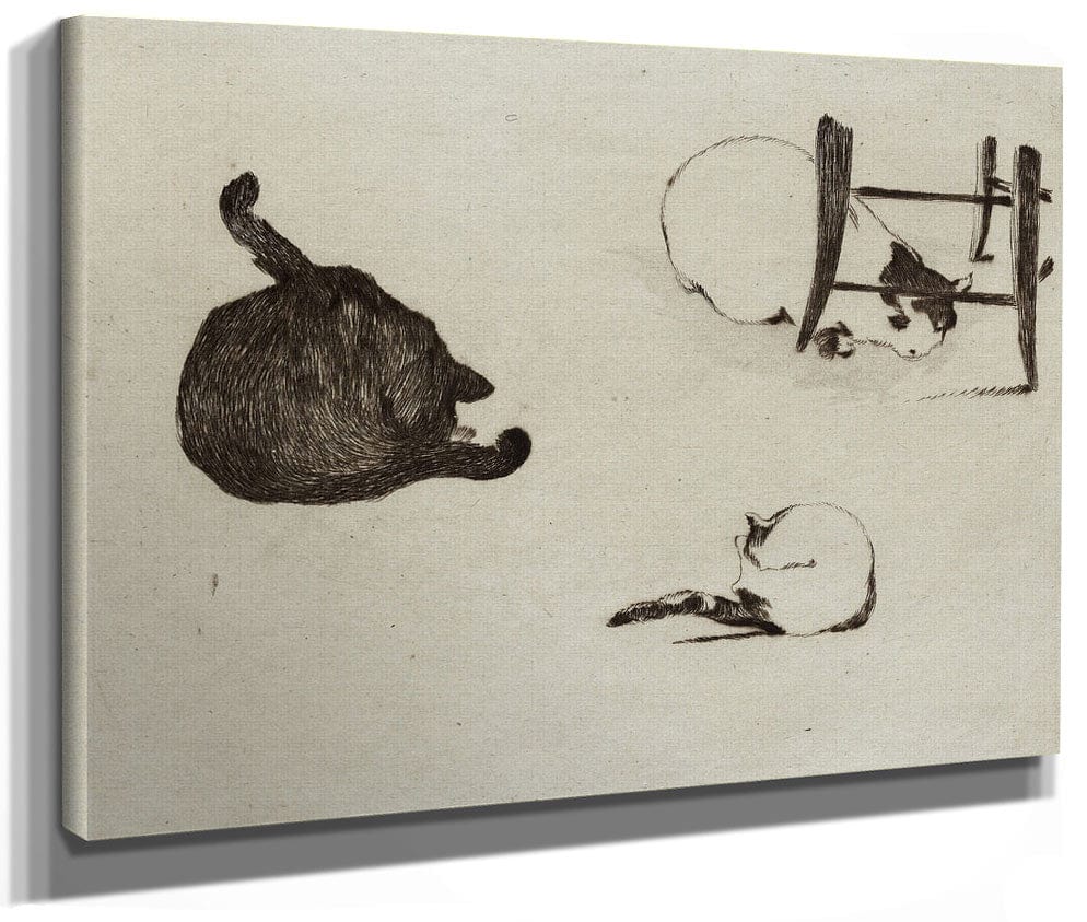 Les Chats By Edouard Manet Phoenix 4x3