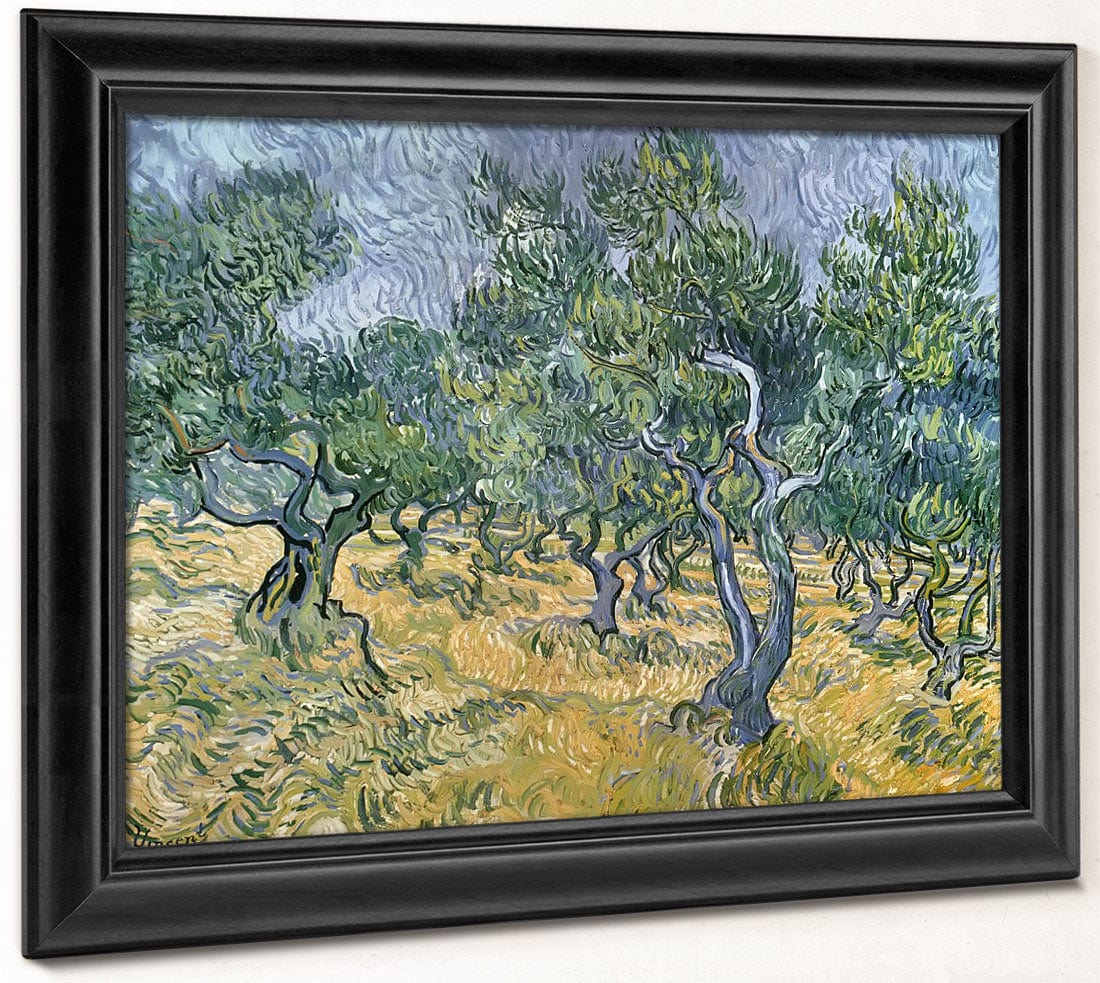 Olive Grove By Vincent Van Gogh Phoenix 4x3