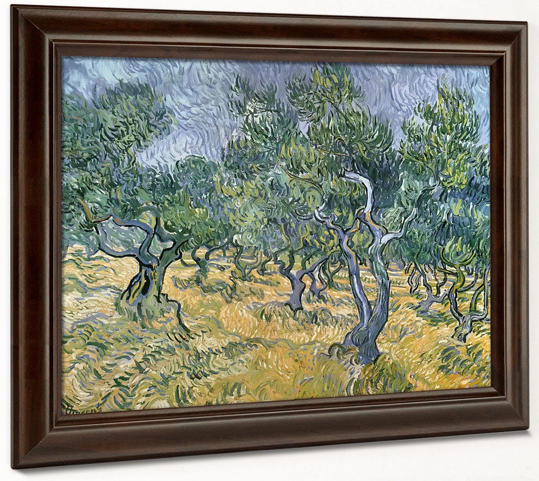 Olive Grove By Vincent Van Gogh Phoenix 4x3