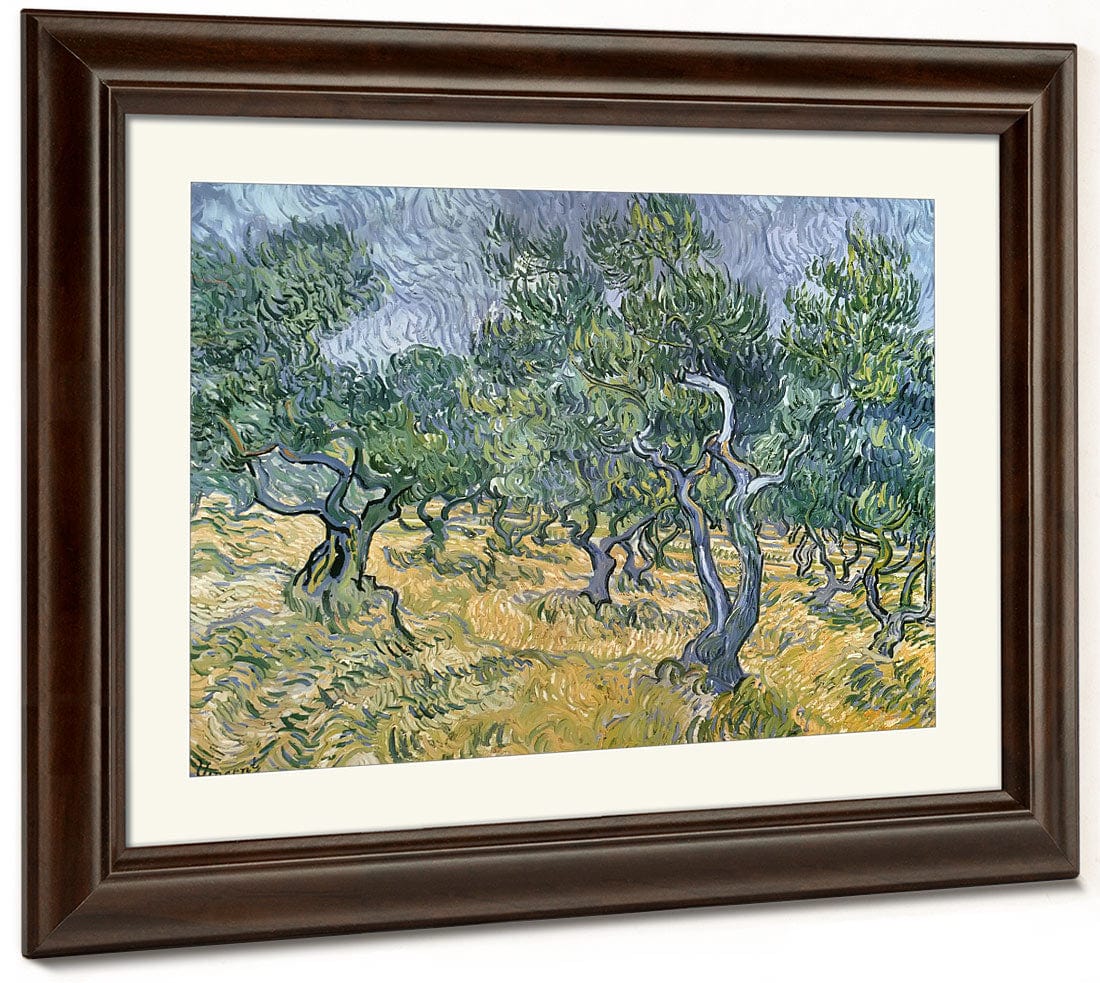 Olive Grove By Vincent Van Gogh Phoenix 4x3