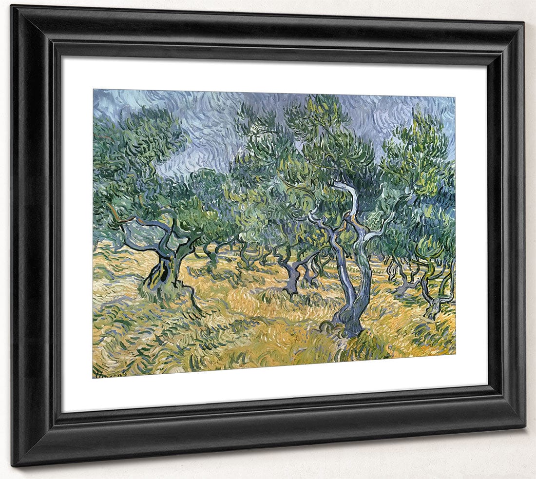 Olive Grove By Vincent Van Gogh Phoenix 4x3