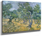 Olive Grove By Vincent Van Gogh Phoenix 4x3