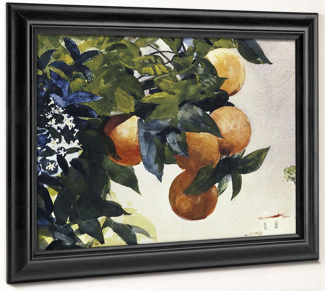 Oranges On A Branch By Winslow Homer Phoenix 4x3
