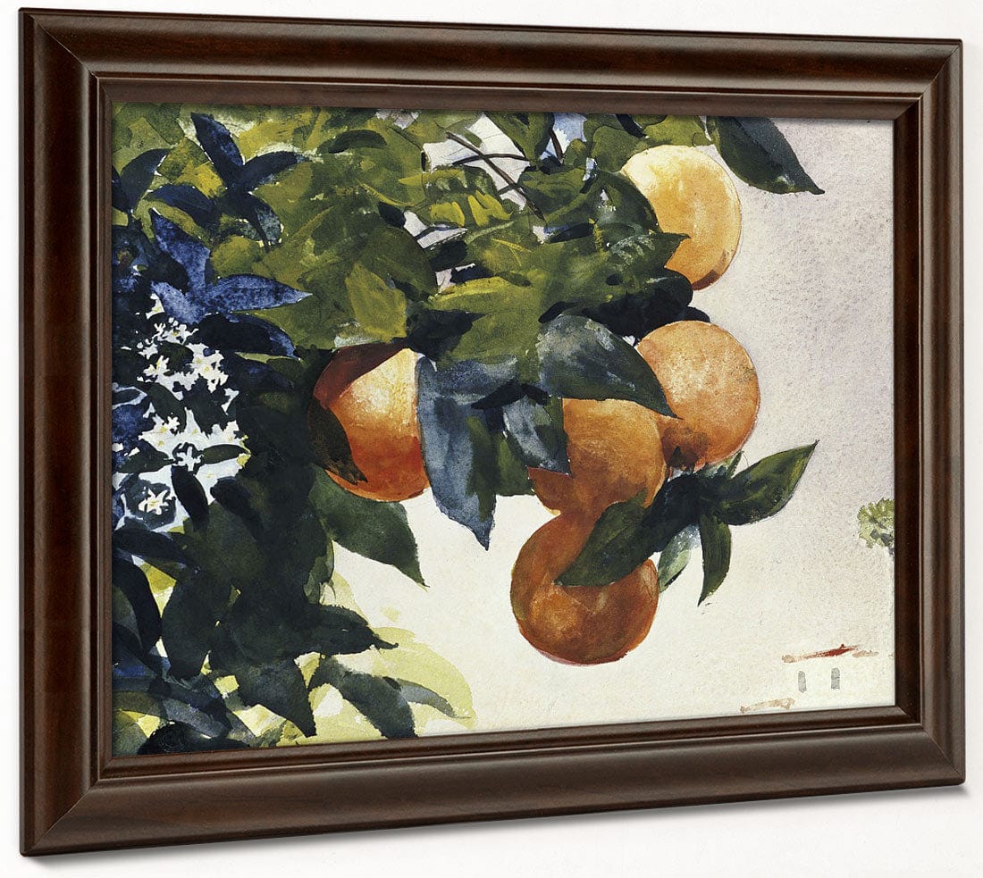 Oranges On A Branch By Winslow Homer Phoenix 4x3
