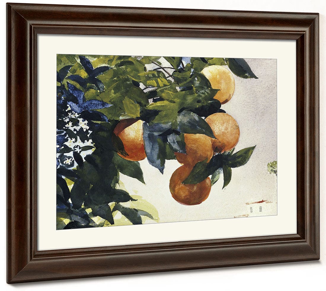 Oranges On A Branch By Winslow Homer Phoenix 4x3