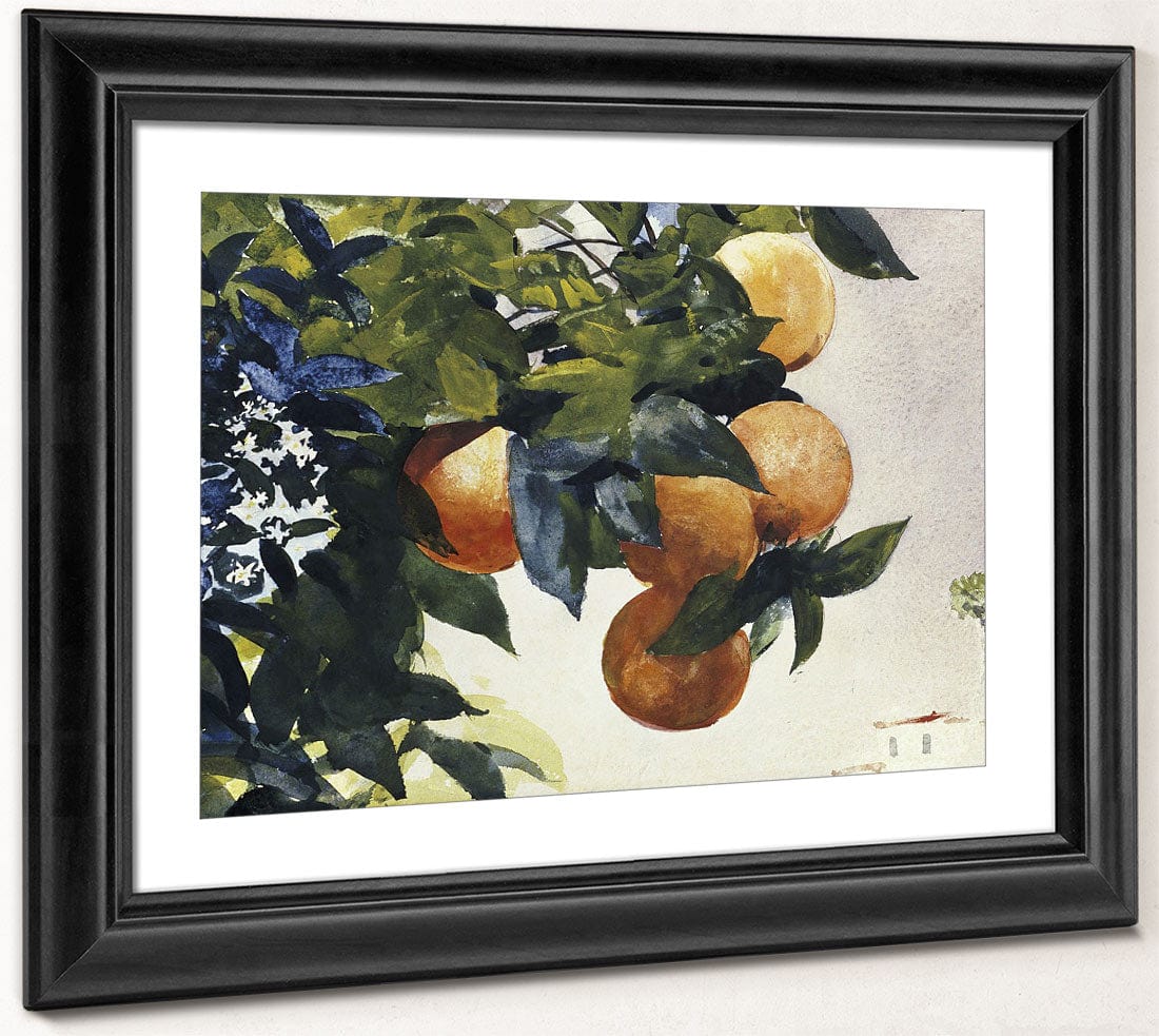 Oranges On A Branch By Winslow Homer Phoenix 4x3