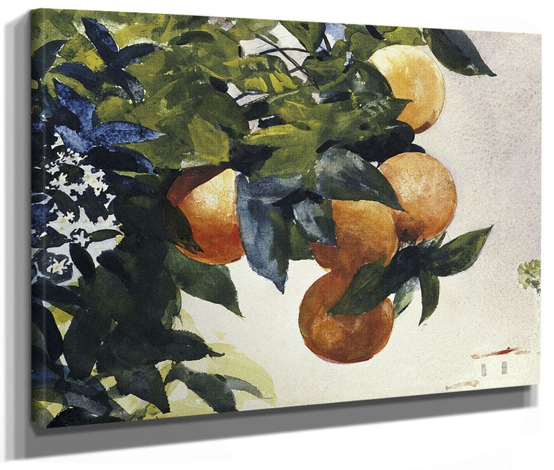 Oranges On A Branch By Winslow Homer Phoenix 4x3