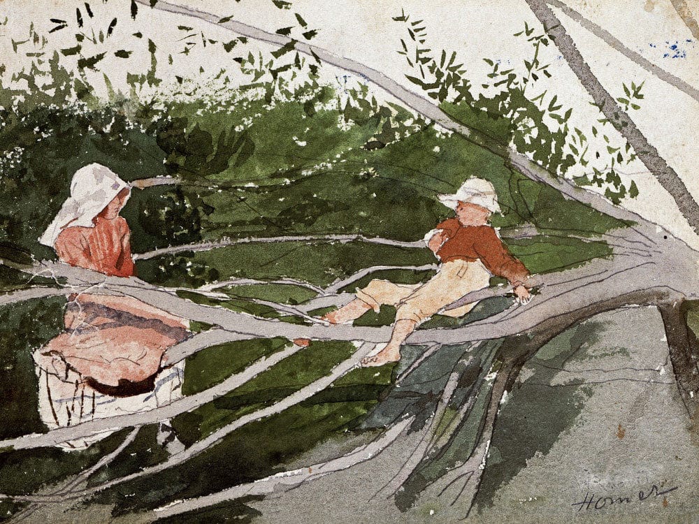 Out On A Limb By Winslow Homer Phoenix 4x3