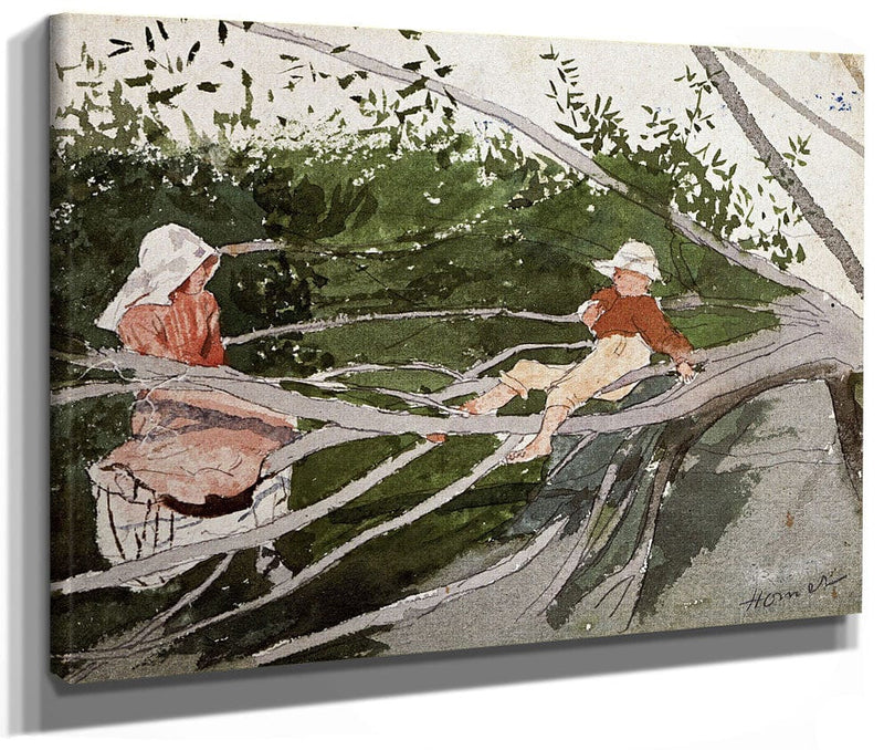 Out On A Limb By Winslow Homer Phoenix 4x3