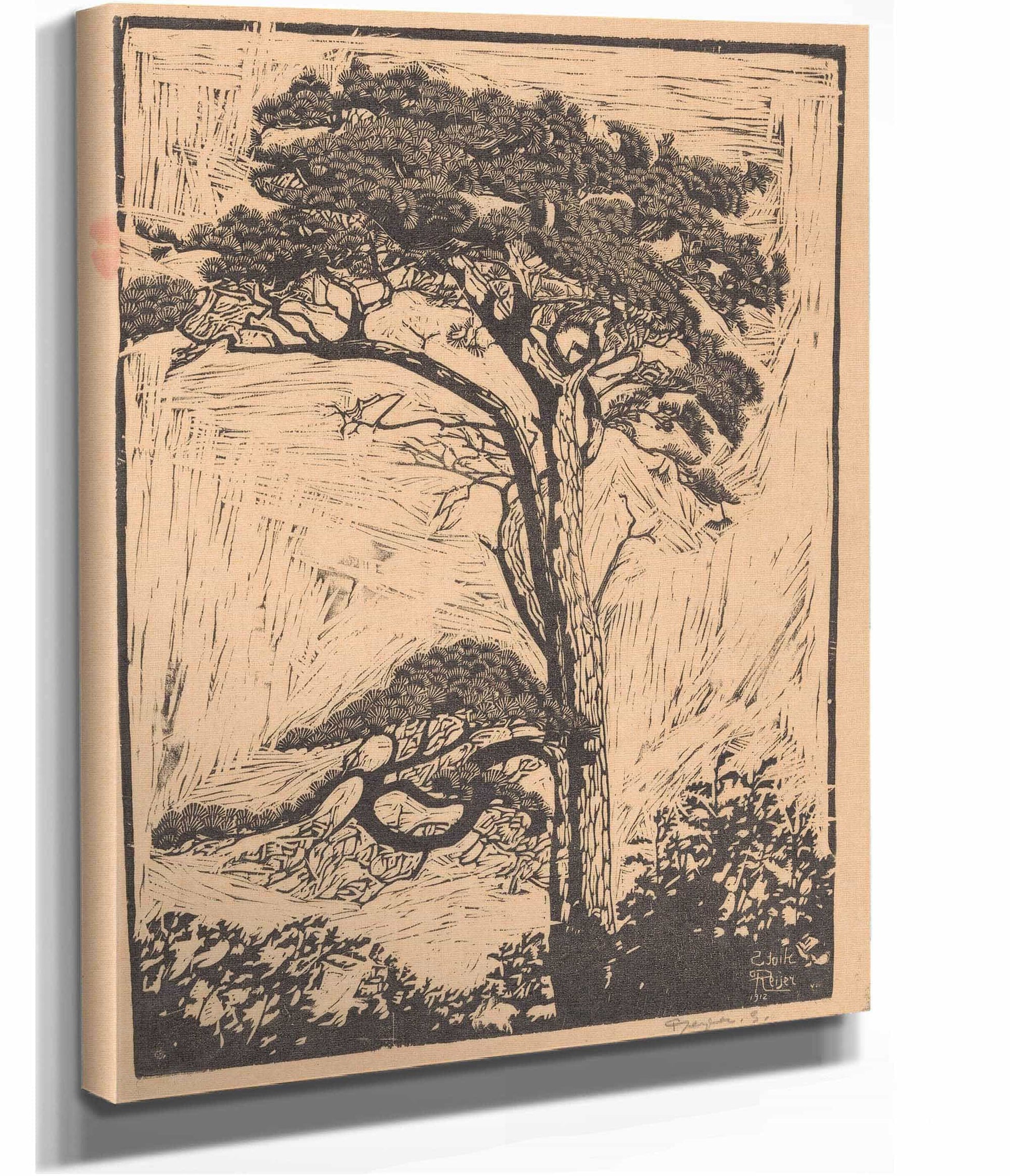Pijnboom by Reijer Stolk