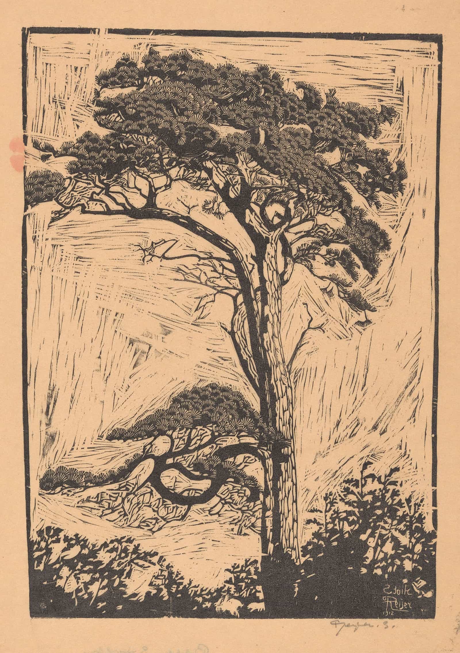 Pijnboom by Reijer Stolk