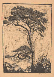 Pijnboom by Reijer Stolk