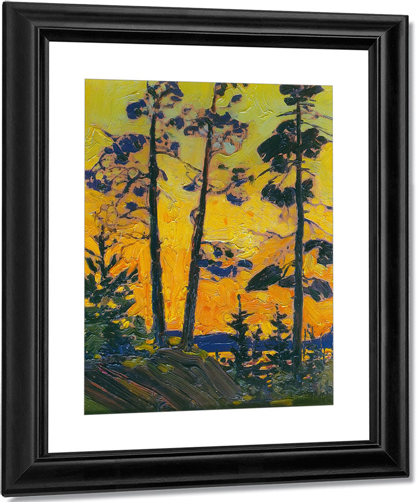 Pine Trees At Sunset By Tom Thomson Print, Canvas Art, Framed Print ...