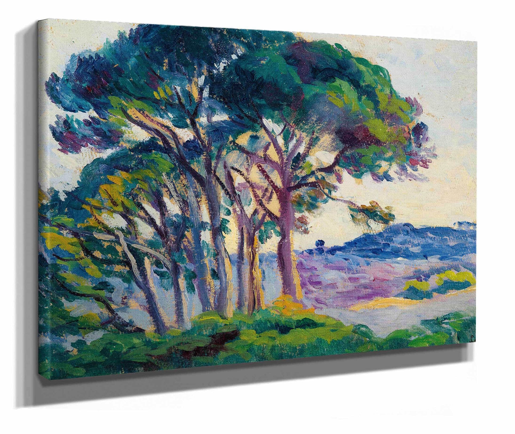 Pins Aux Cannebiers by Maximilien Luce