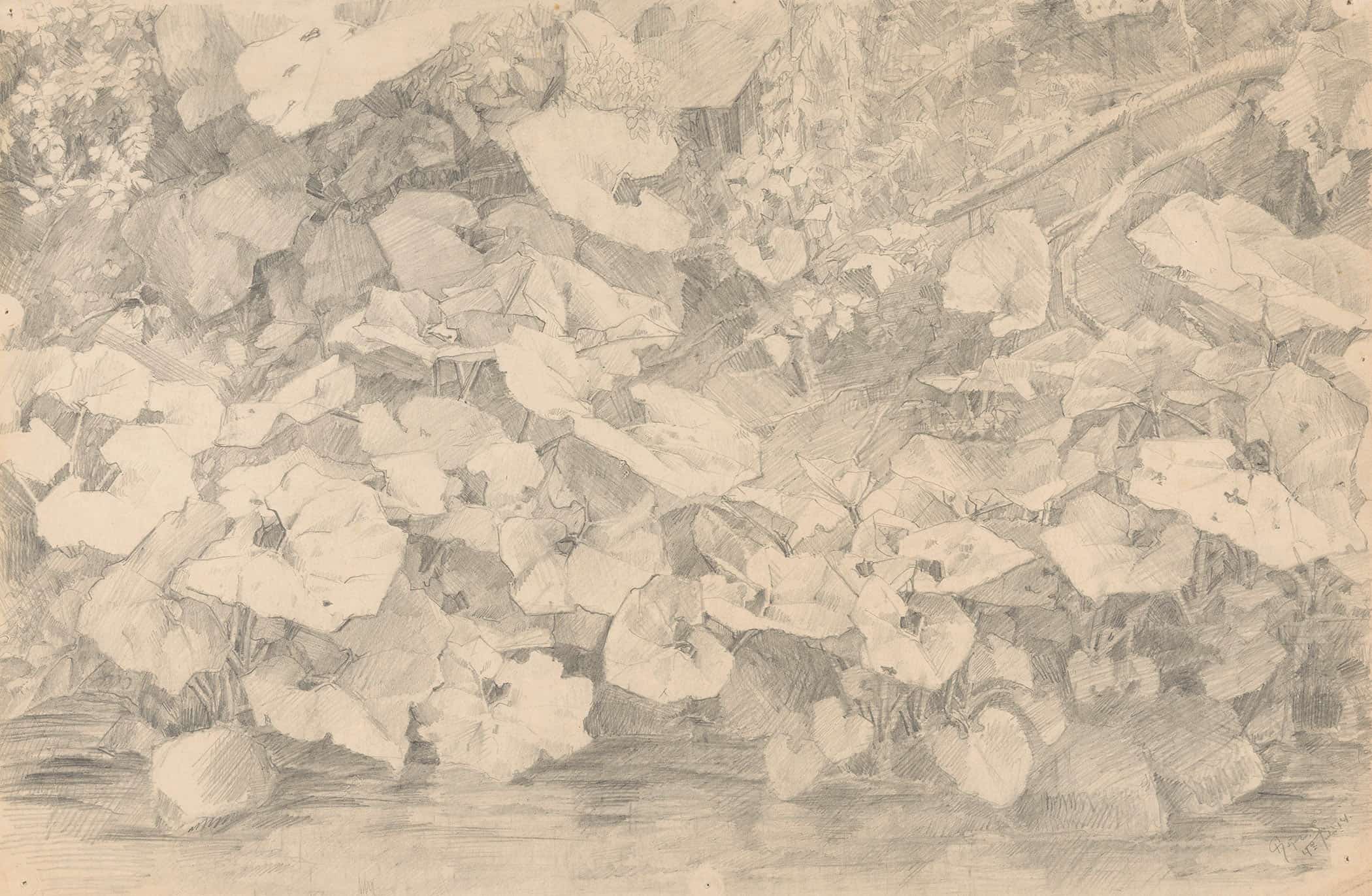 Planten Aan De Waterkant by Reijer Stolk
