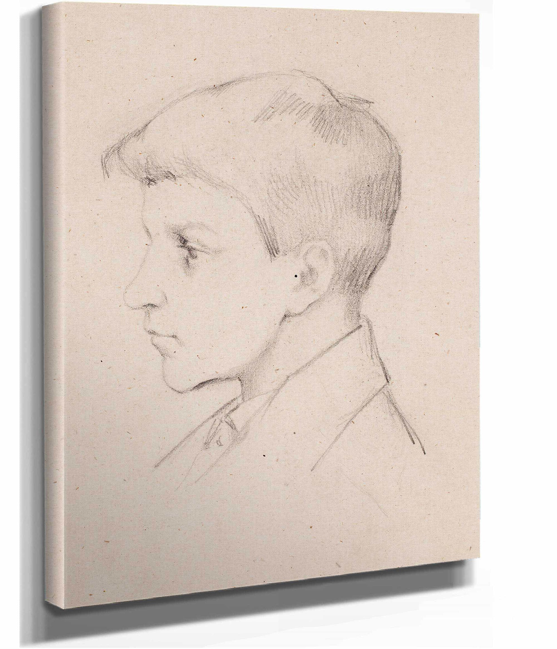 Pojan Profiili  by Helene Schjerfbeck