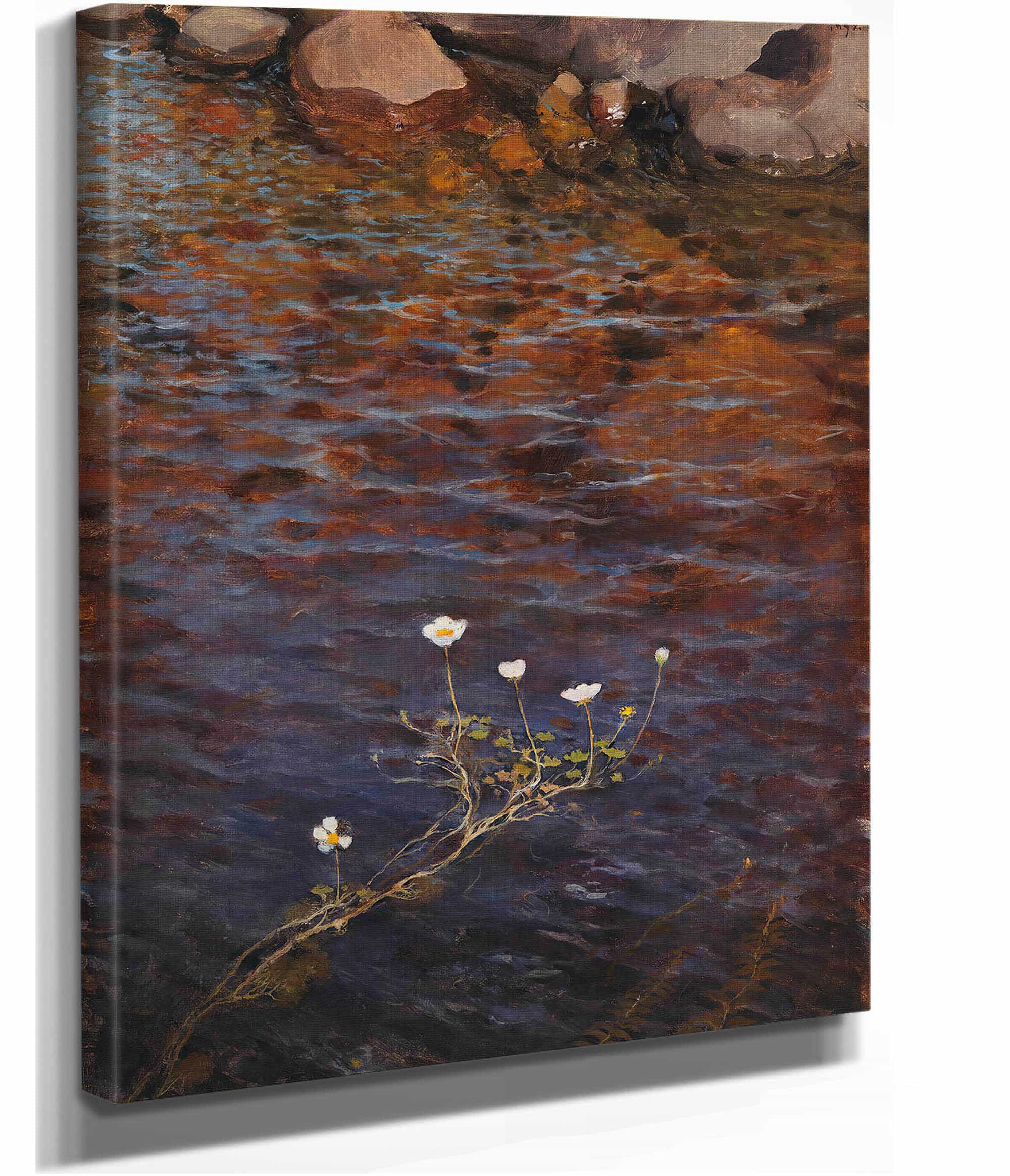 Pond Water Crowfoot by Eero Jarnefelt