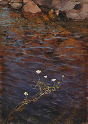 Pond Water Crowfoot by Eero Jarnefelt