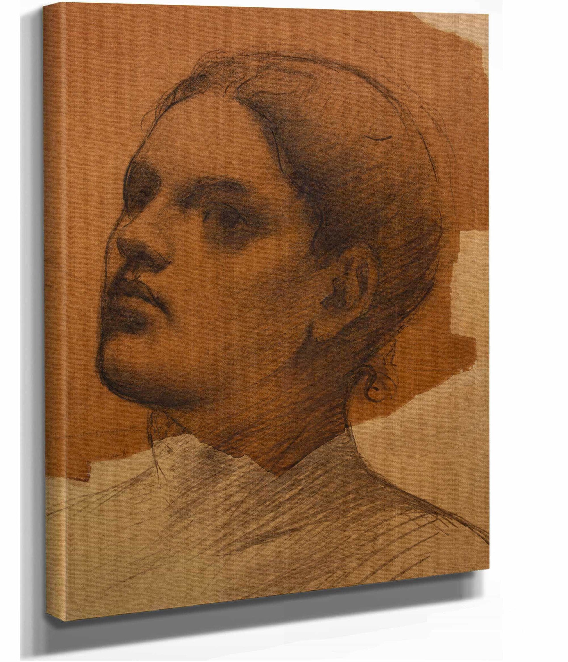 Portrait De Femme De Trois Quarts by Pierre Puvis De Chavannes