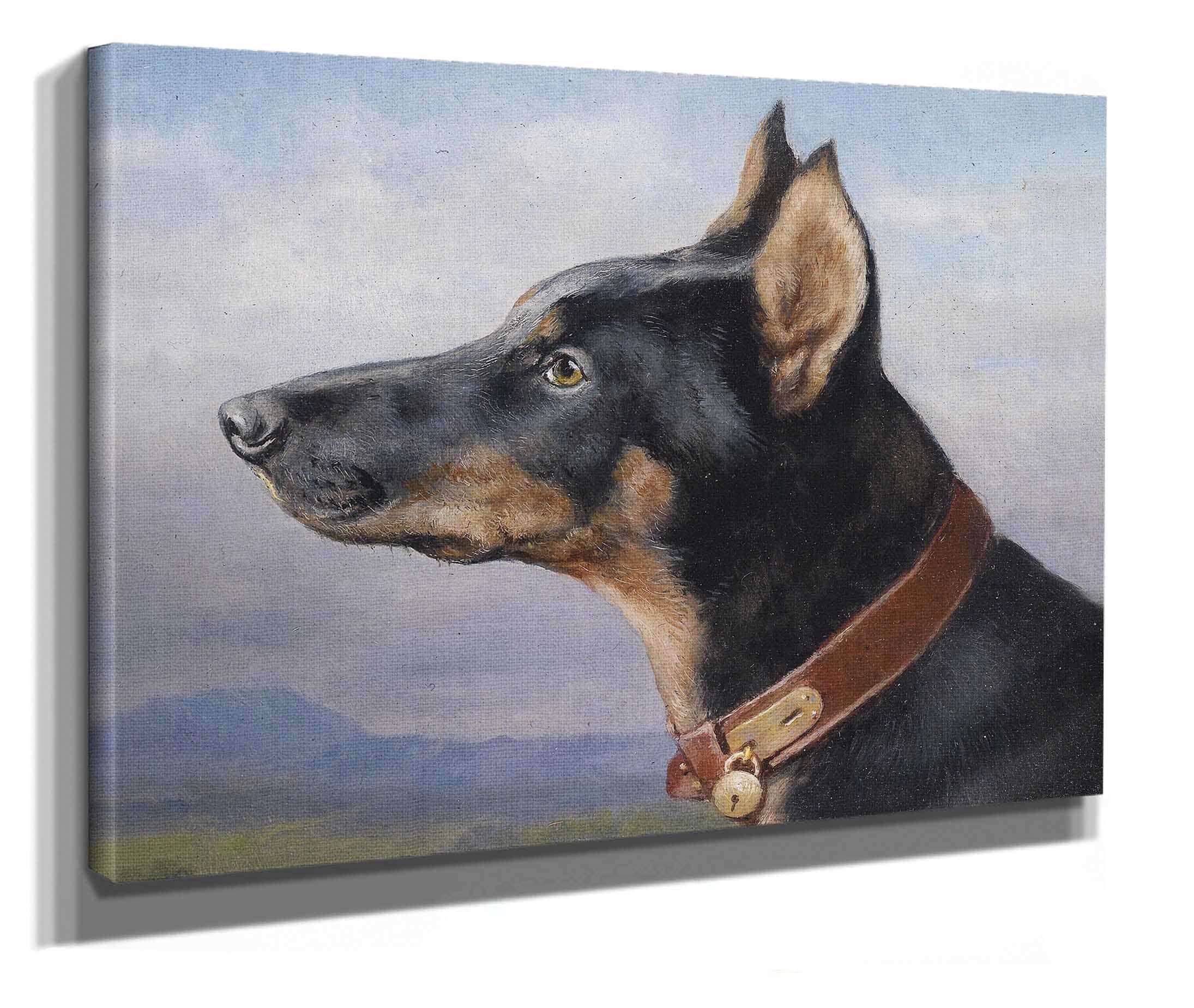 Portrait Eines Dobermanns by Carl Reichert