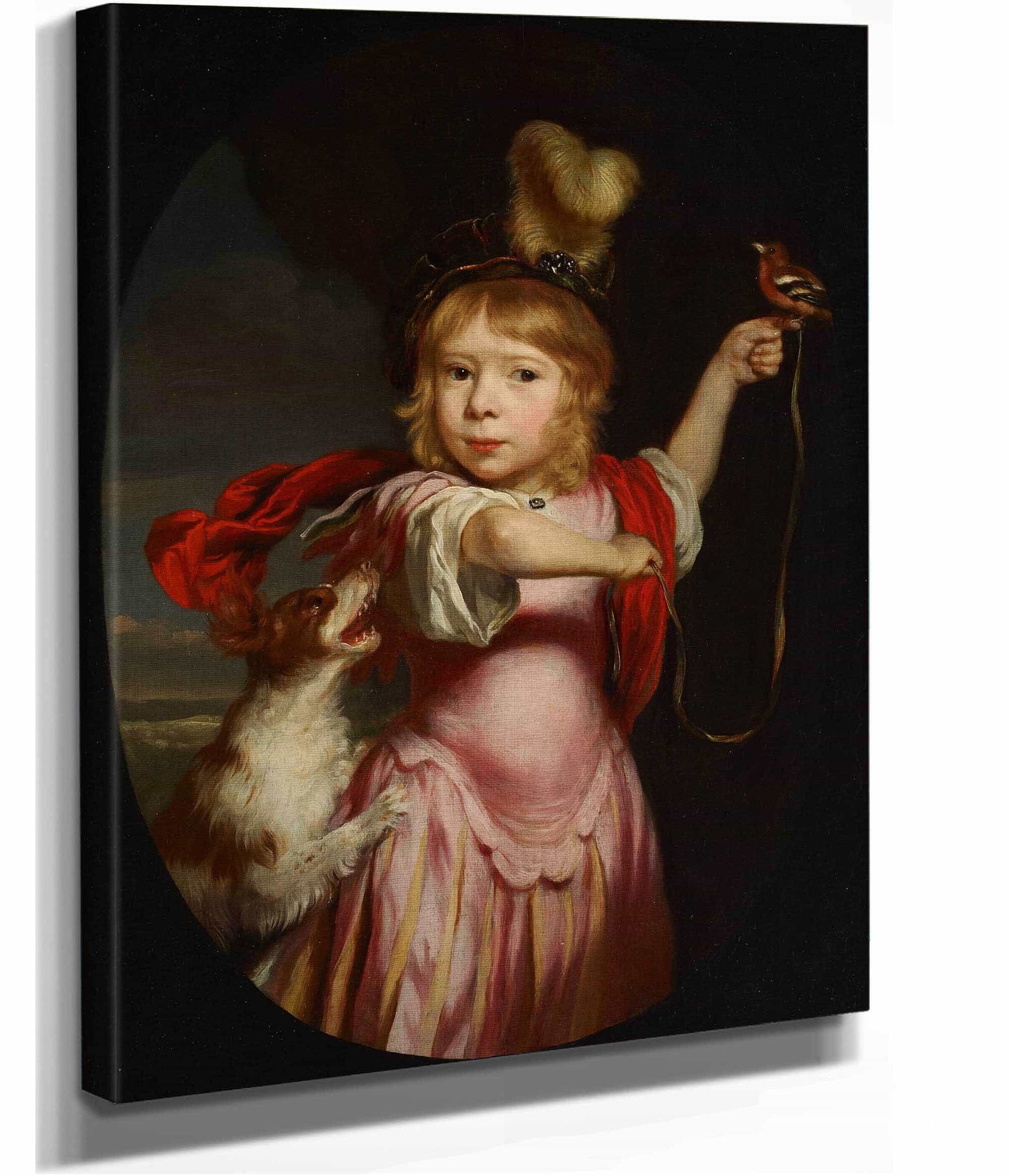 Portrait Of A Boy In Classical Dress With A Bullfinch And Spaniel by Nicolaes Maes