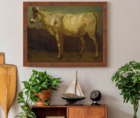 Portrait Of A Cow by James Ward