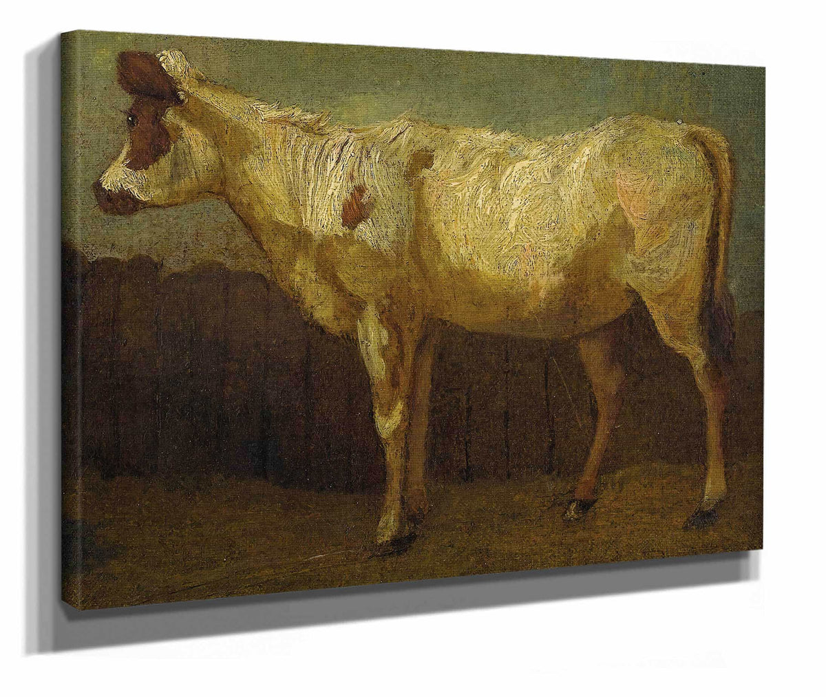 Portrait Of A Cow by James Ward