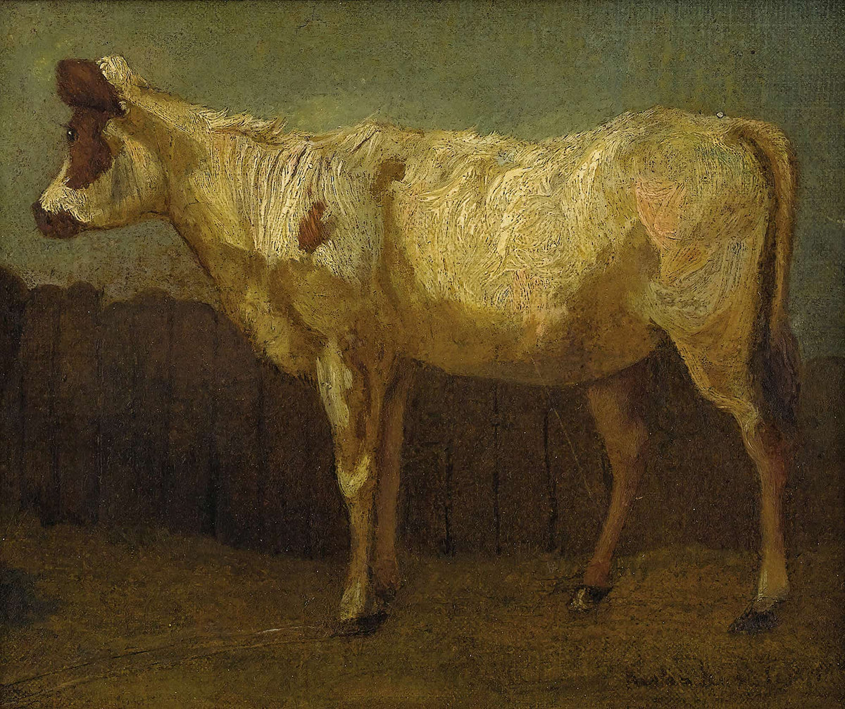 Portrait Of A Cow by James Ward