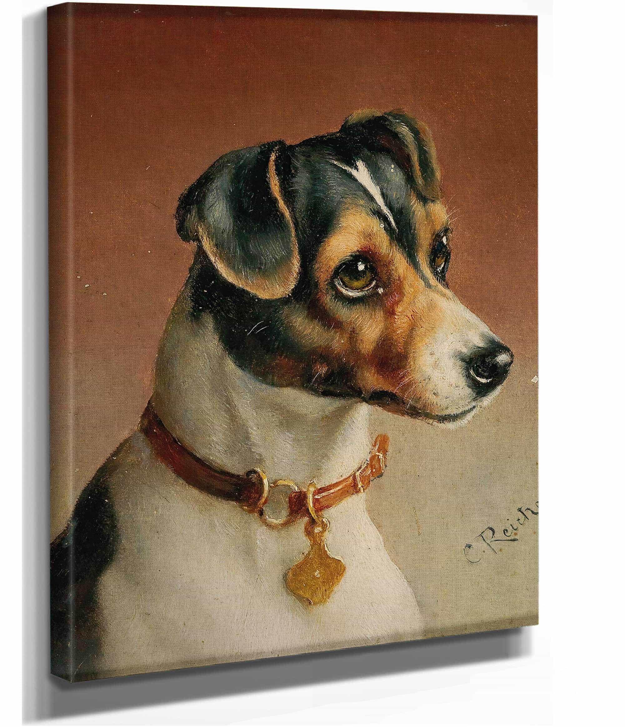 Portrait Of A Jack Russel Terrier by Carl Reichert