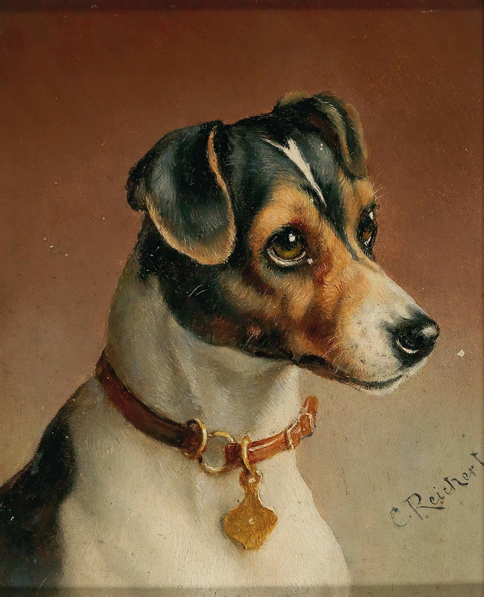 Portrait Of A Jack Russel Terrier by Carl Reichert