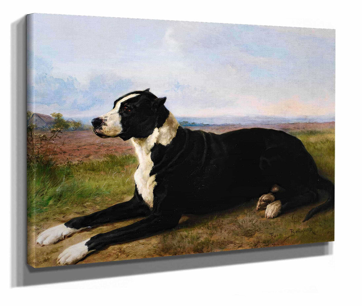 Portrait Of A Mastiff Labrador In A Landscape by Rosa Bonheur