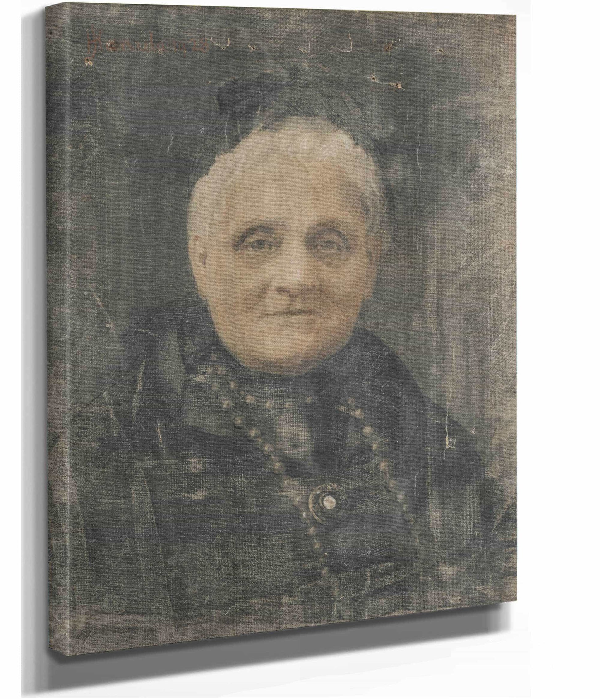 Portrait Of A Woman  by Jozef Hanula