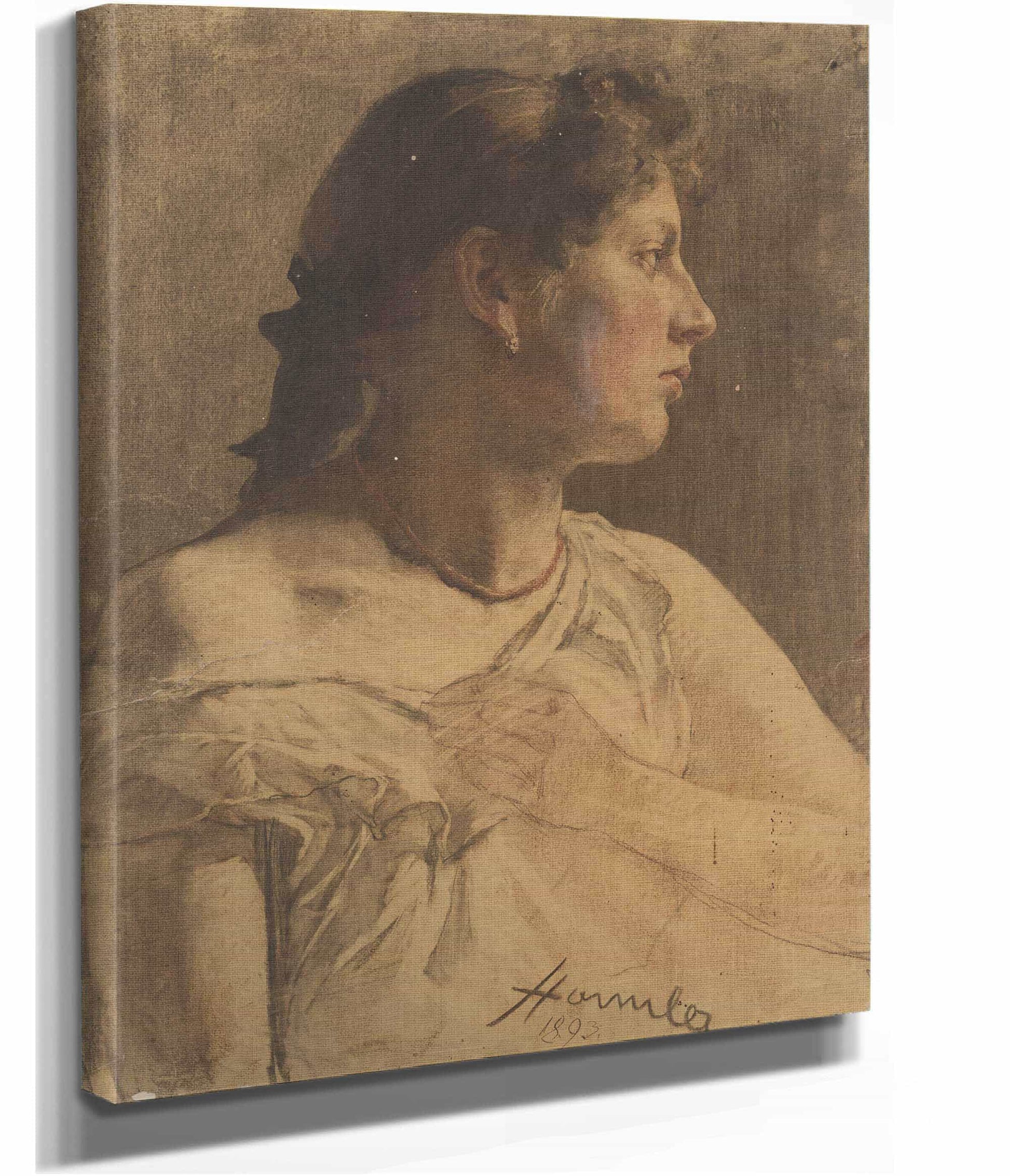 Portrait Of A Woman  by Jozef Hanula