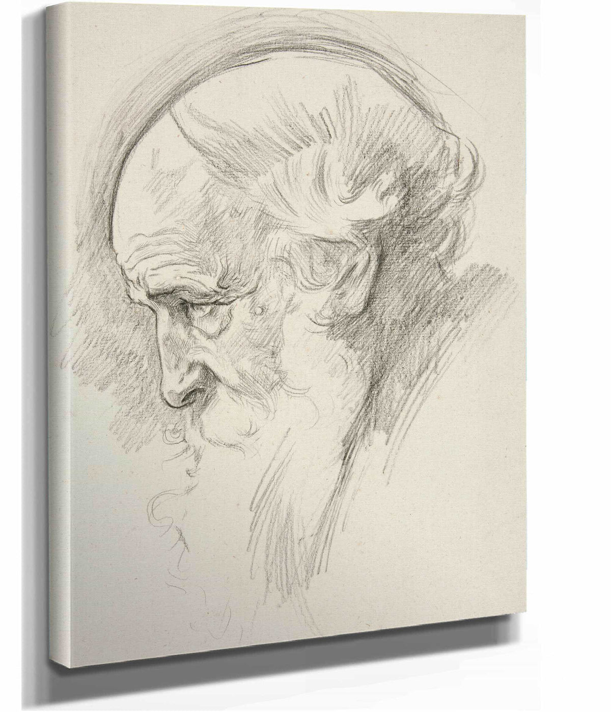 Portrait Of An Old Bearded Man In Profile by Edwin Austin Abbey