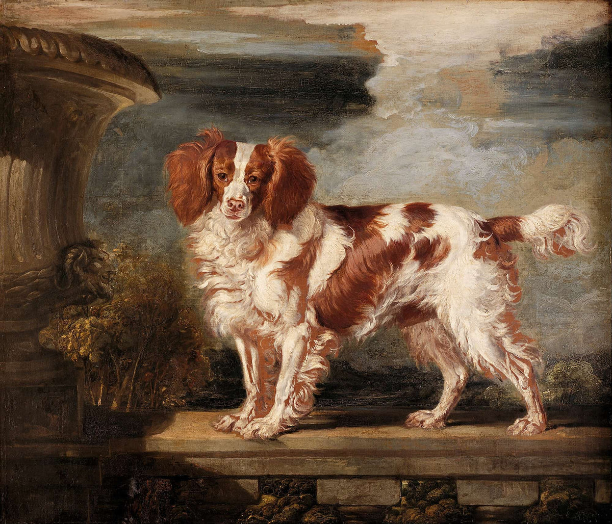 Portrait Of Dash A Favourite Spaniel The Property Of Lady Frances Vane Tempest by James Ward