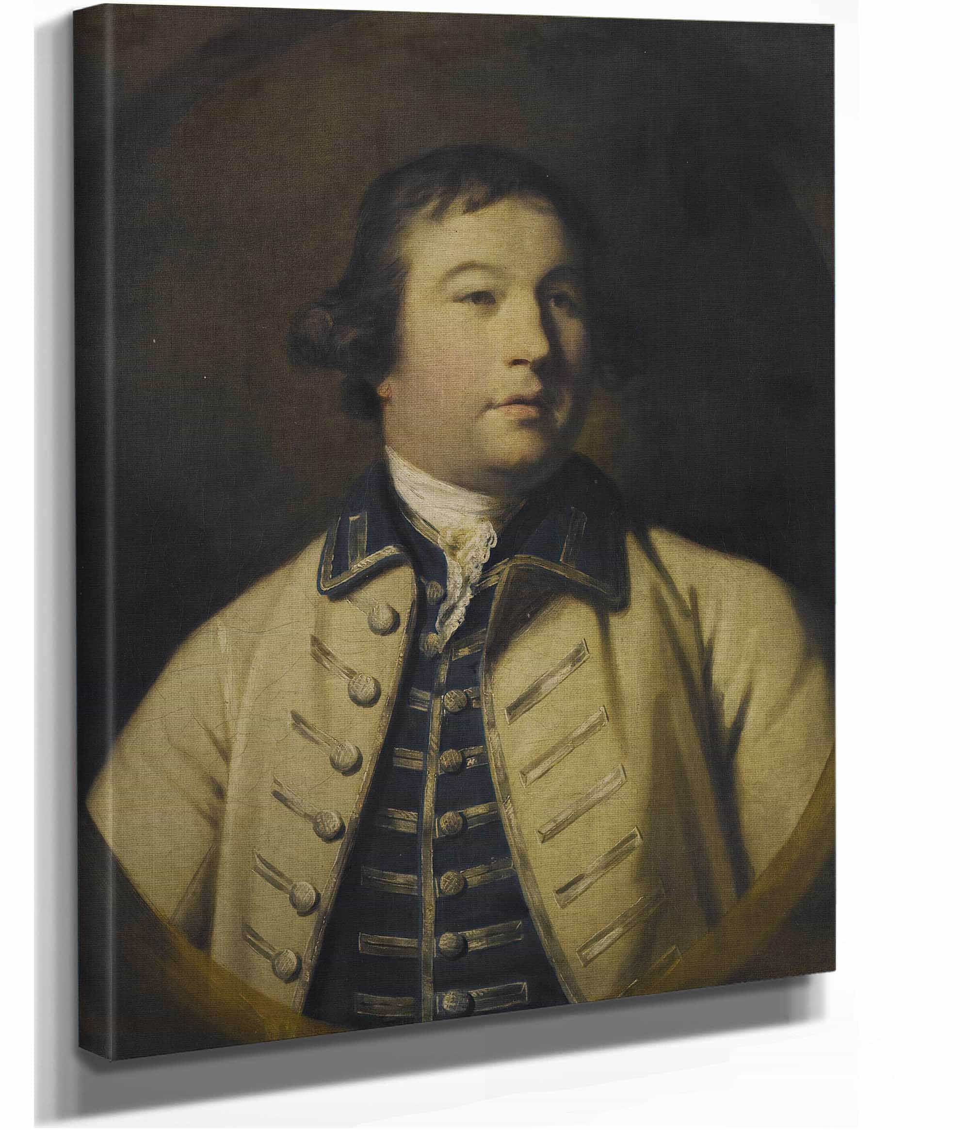 Portrait Of Henry Drummond by Sir Joshua Reynolds