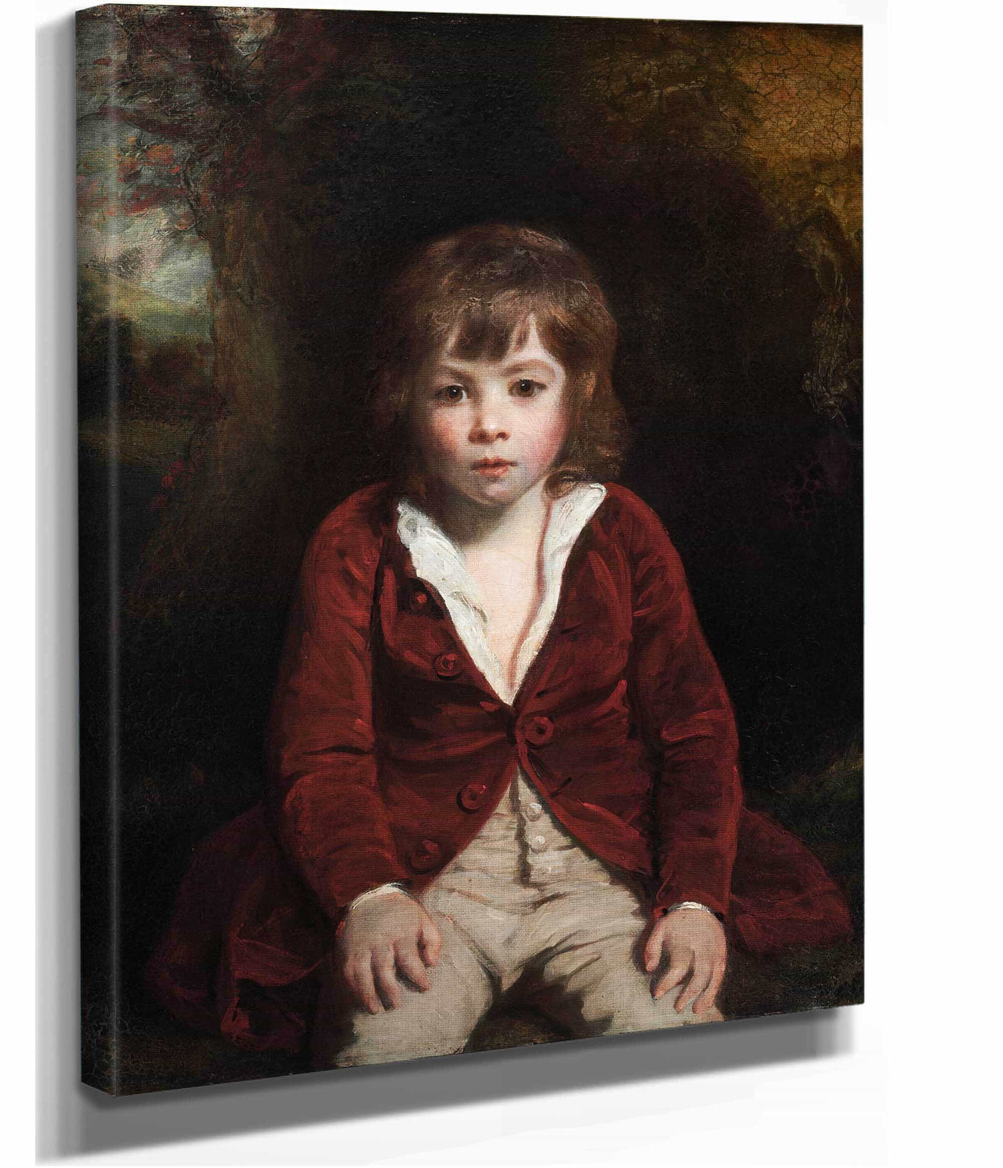 Portrait Of Master Bunbury by Sir Joshua Reynolds