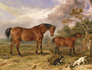 Portrait Of Reformer Blucher Tory And Crib The Property Of Rowland Alston Esq Mp by James Ward
