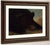 Portraits Of A Grizzly Bear And Mouse, Life Size By George Catlin