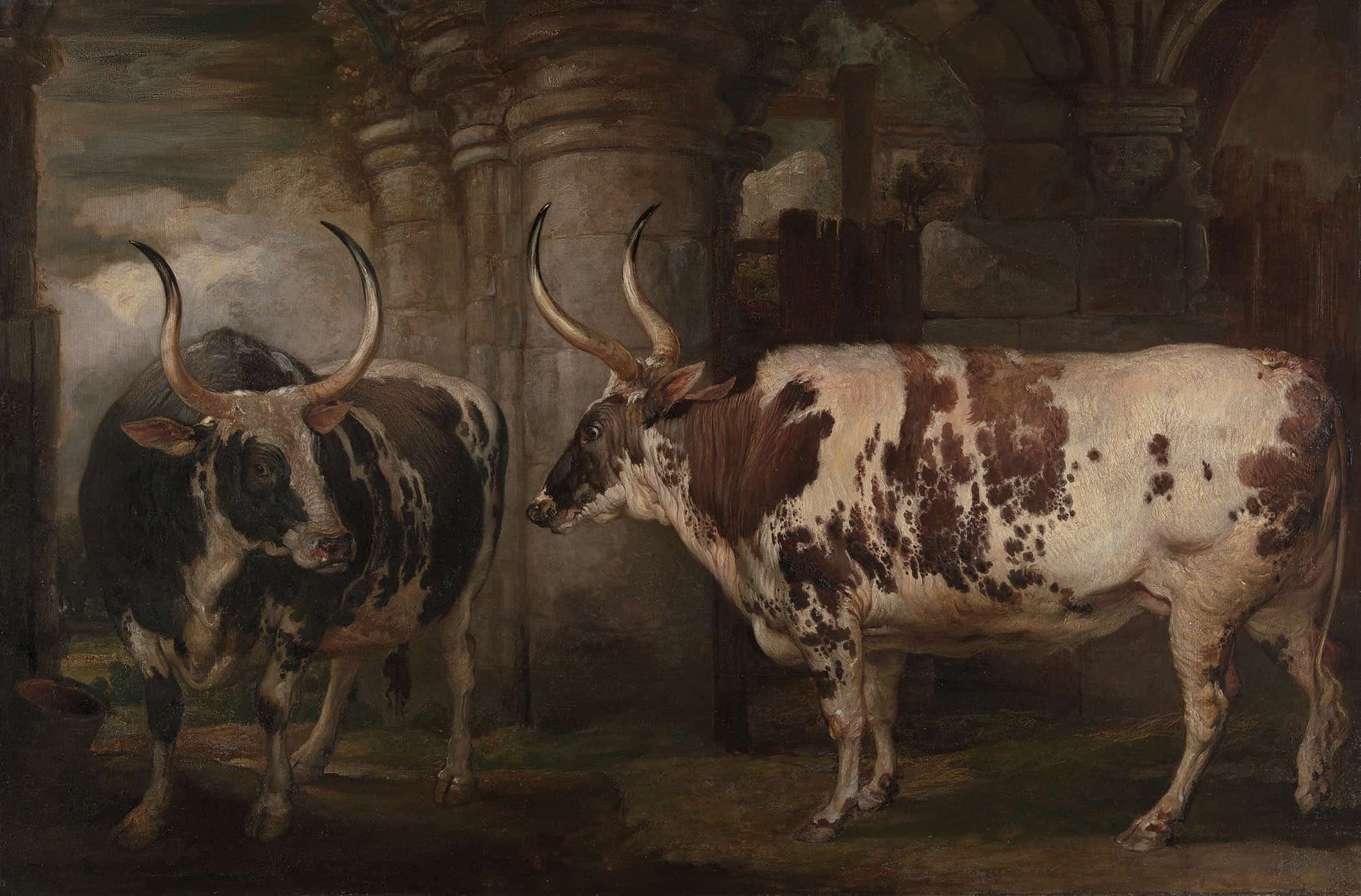 Portraits Of Two Extraordinary Oxen The Property Of The Earl Of Powis by James Ward