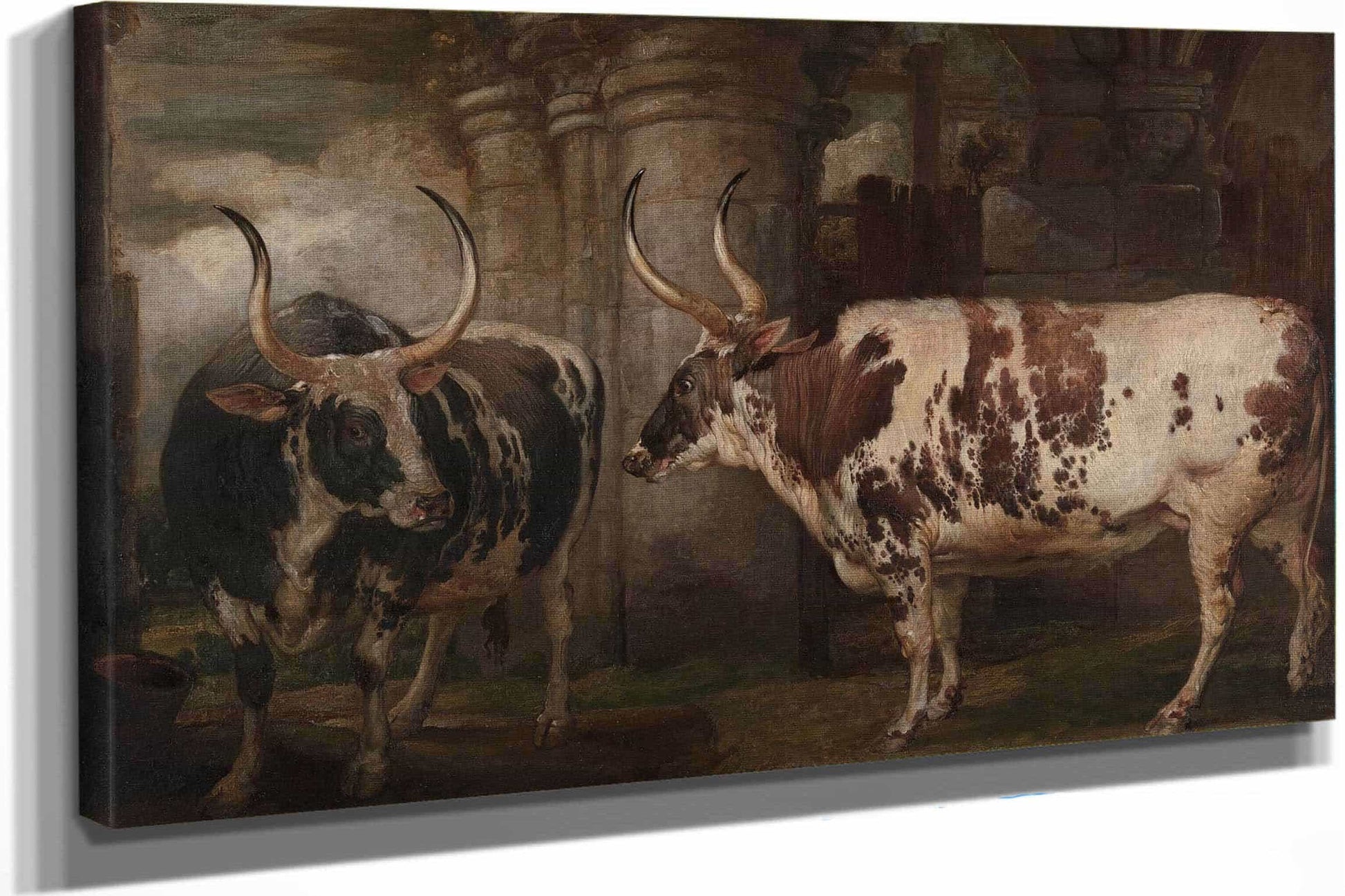 Portraits Of Two Extraordinary Oxen The Property Of The Earl Of Powis by James Ward