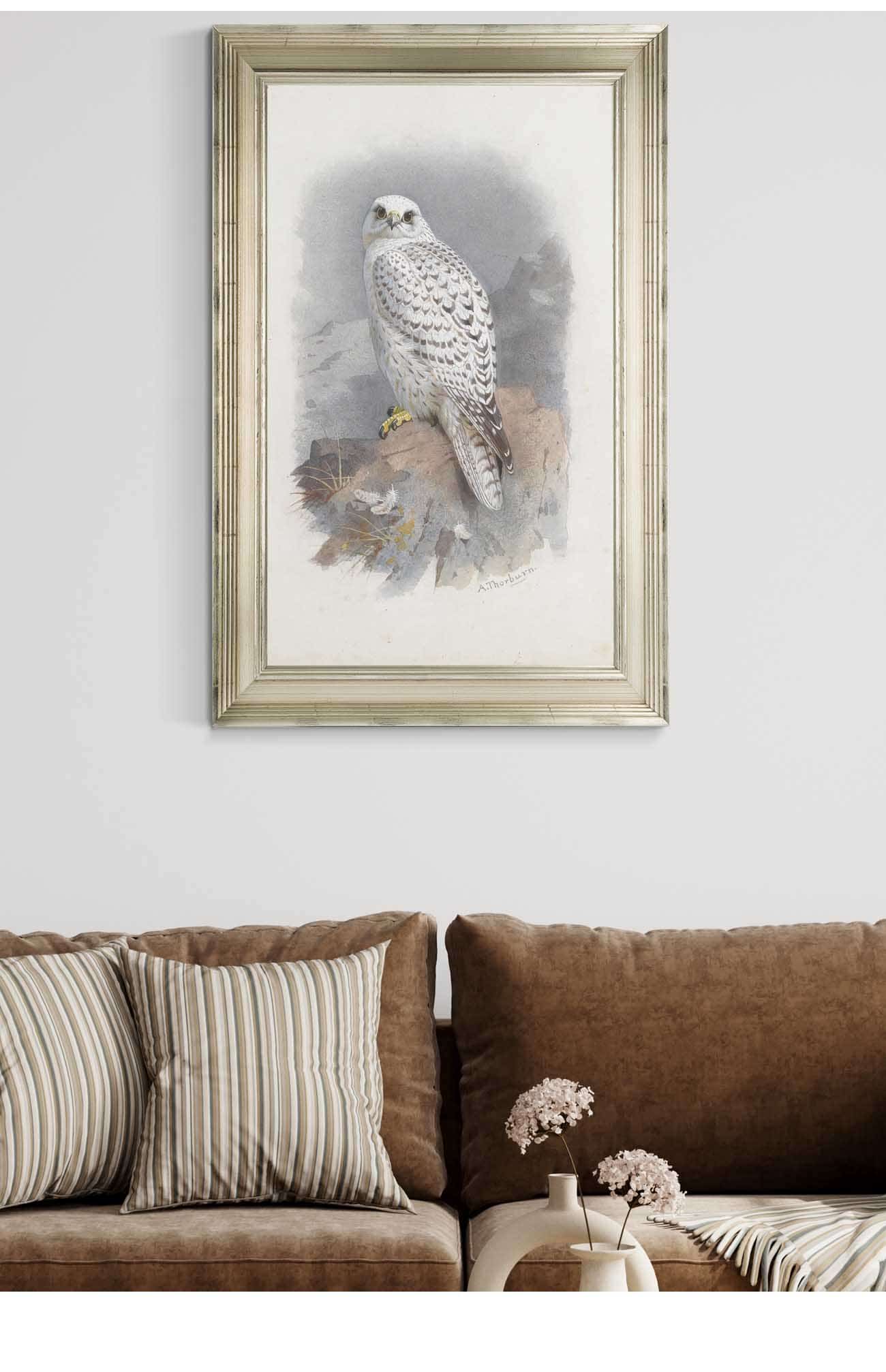 A Greenland Falcon by Archibald Thorburn Posters, Prints, & Visual Artwork