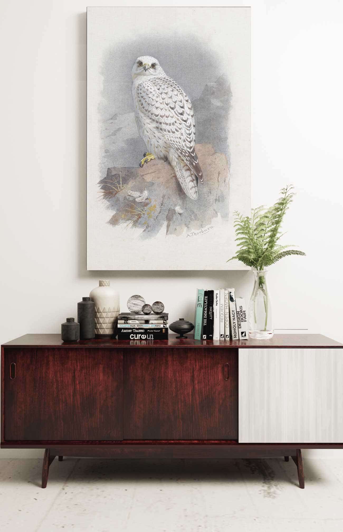 A Greenland Falcon by Archibald Thorburn Posters, Prints, & Visual Artwork