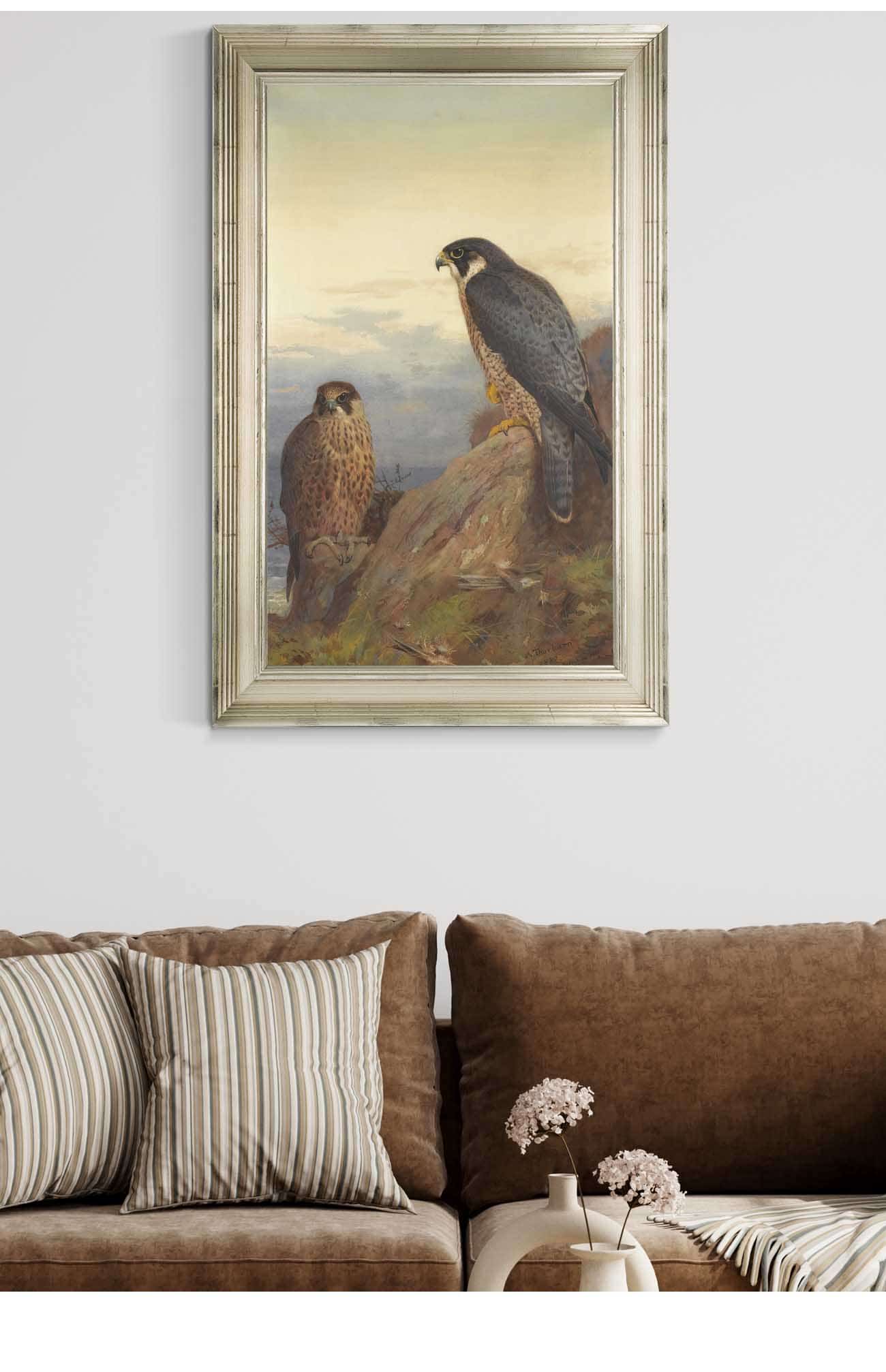 An Adult And Immature Peregrine by Archibald Thorburn Posters, Prints, & Visual Artwork