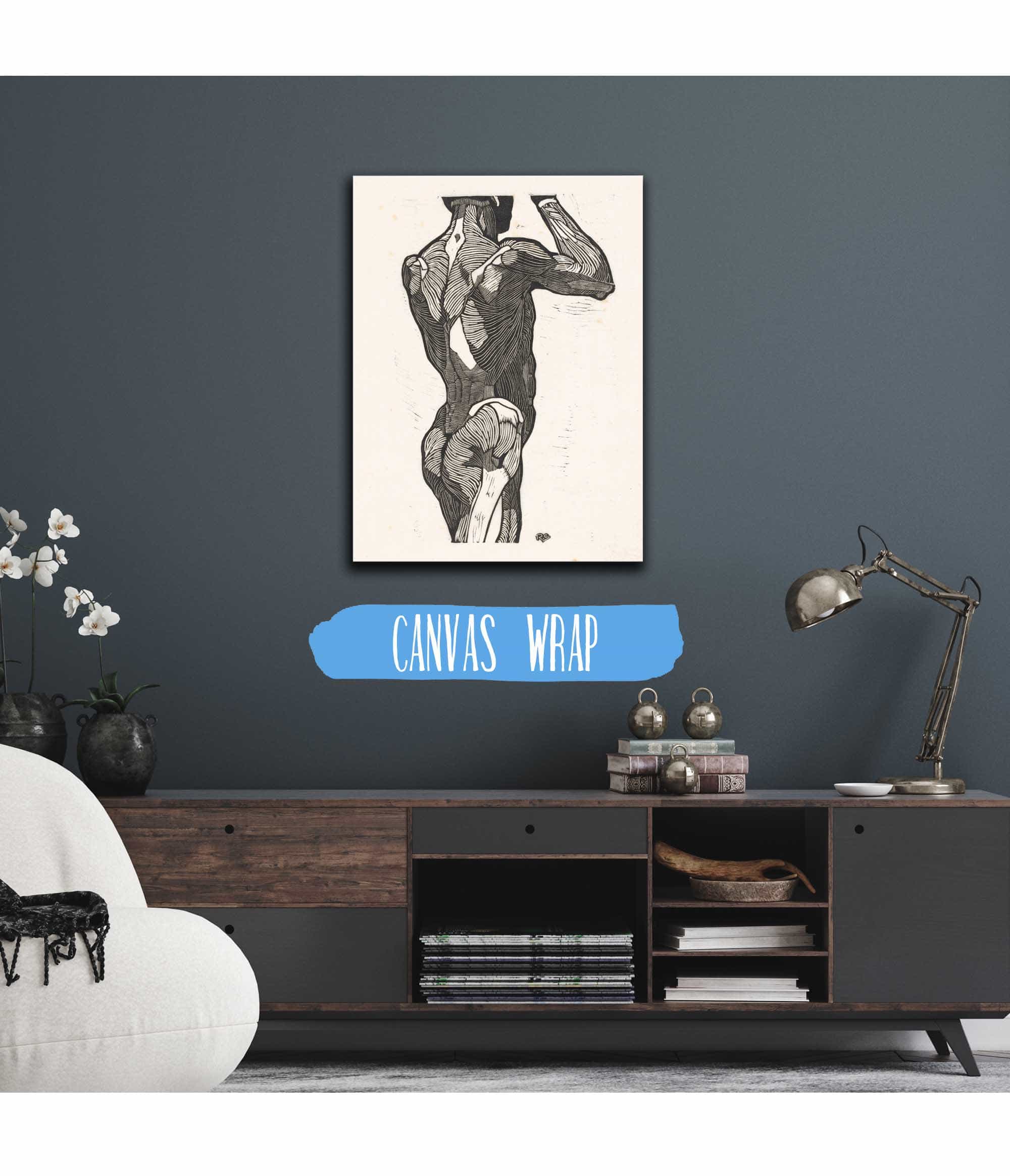Anatomische Studie Van De Rug En Bilspieren Van Een Man by Reijer Stolk Posters, Prints, & Visual Artwork