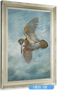 Caught In A Blizzard Woodcock by Archibald Thorburn Posters, Prints, & Visual Artwork